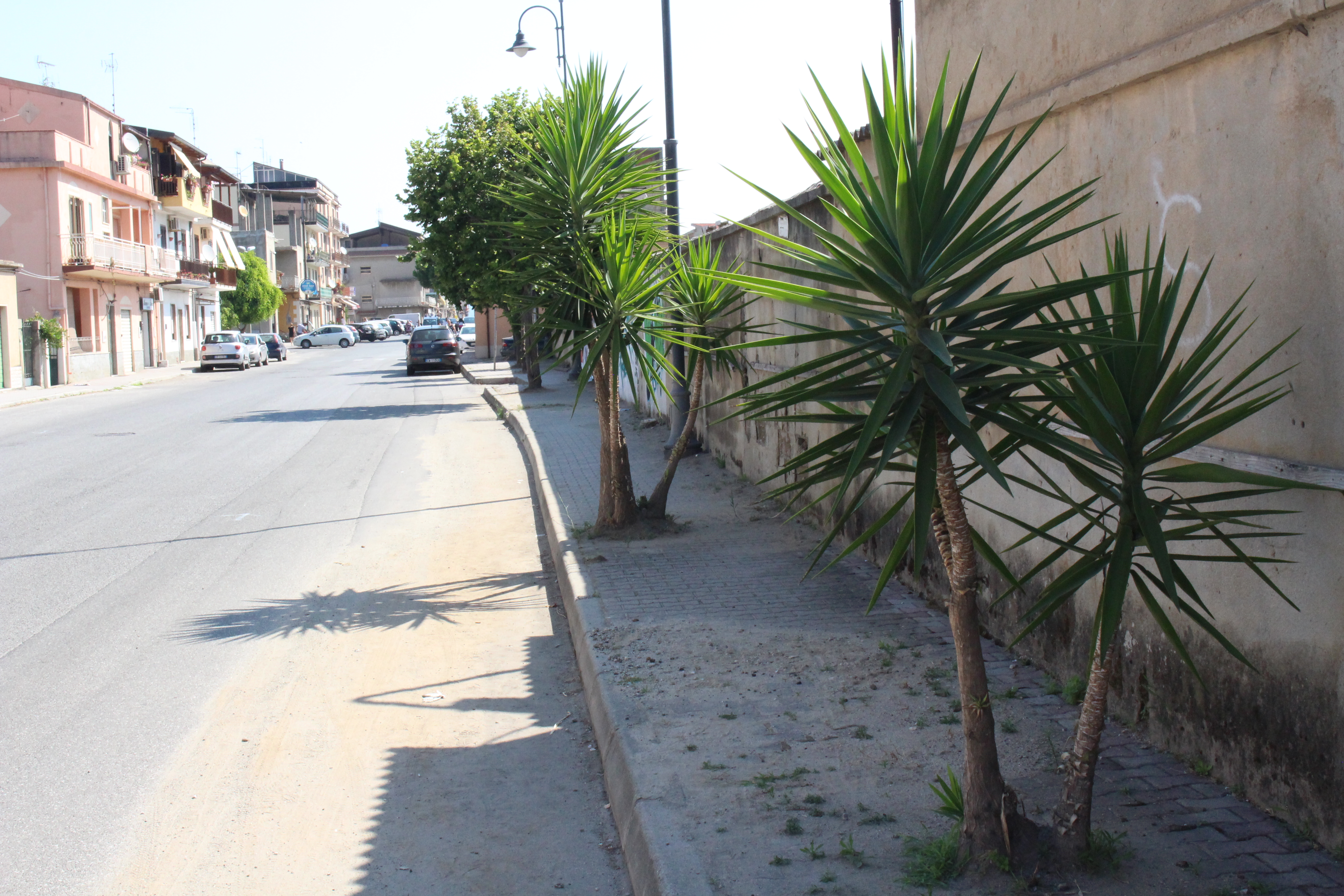 Vibo Marina
