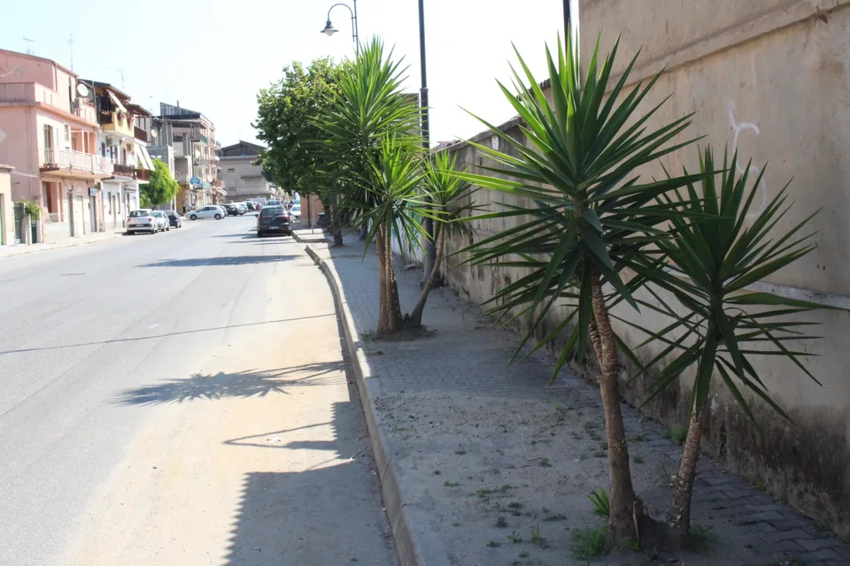 Vibo Marina